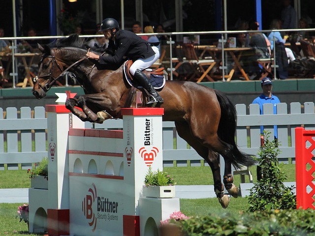 无论是在球 无论是在球