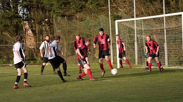 跨领域的领 跨领域的领