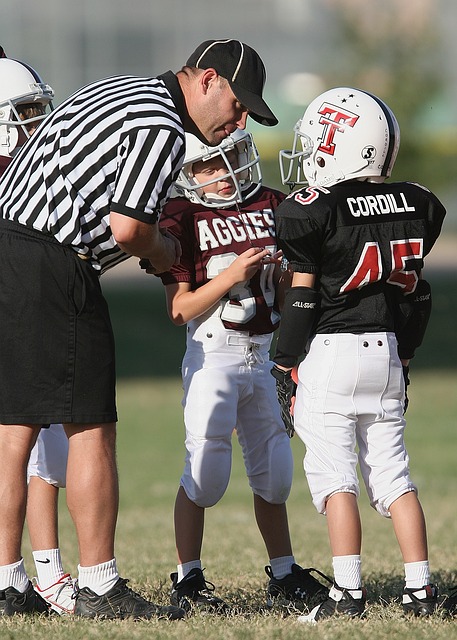 果都被突显 果都被突显
