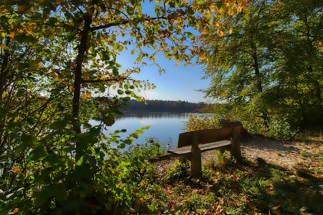区内制造混 区内制造混
